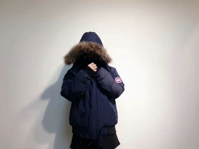 canada goose-005